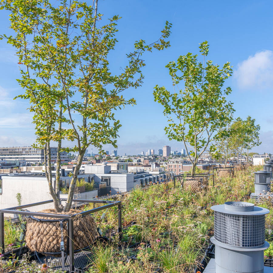 Urban Tree.: Een lichtgewicht oplossing <br>als planten geen optie is.