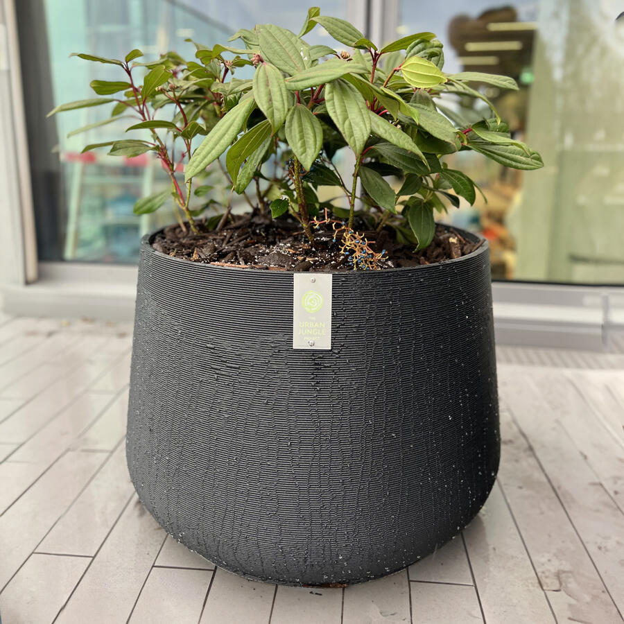 Jungle Pots.: 3D printed planters for every terrace.