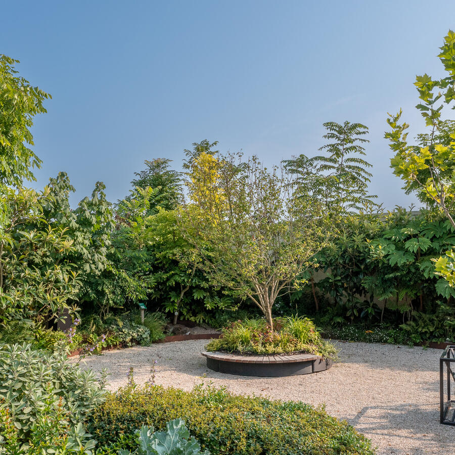 INSPYRIUM, CUIJK: Urban Trees on an award winning rooftop garden